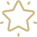 Star icon representing unique event experience at BASH Carmel