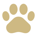 Paw print icon representing pet friendly policy at BASH