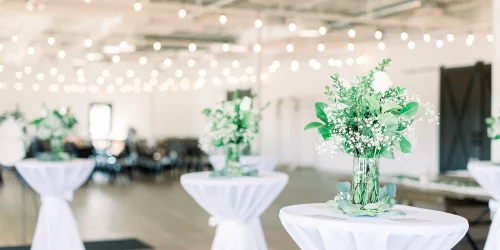 hayley-moore-photography-Katie-Lucas-BASH-carmel-indiana-wedding-570-X4.webp