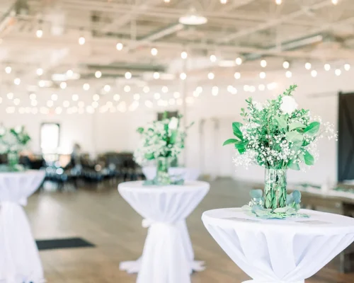 hayley-moore-photography-Katie-Lucas-BASH-carmel-indiana-wedding-570-X4.webp